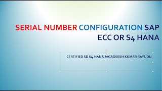 Serial Number Configuration Sap Ecc Or S4 Hana Part1