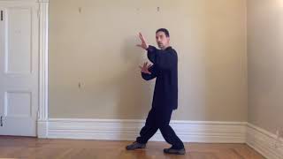 Bagua Traditional Verses