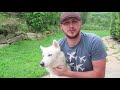 Dog Days of Summer Coolest Dogs of 2018 | Funny Pet Videos