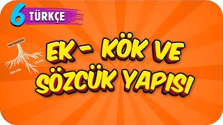 6. Sınıf Türkçe Ek - Kök Ve Sözcük Yapısı
