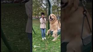 This Big Boy Loves The Swing