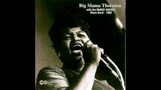 Watch Big Mama Thornton Since I Fell For You video