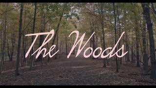Watch Girl Blue The Woods video