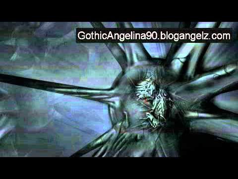 Kleine Liebe Video