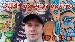 Живу Месяц В Мексике / Переход По Cbp One / Поймал Дату За 23 Дня