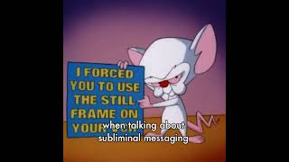 Did You Catch This In Pinky And The Brain?