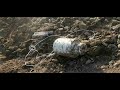 GAO: Smuggling of Improvised Explosive Device (IED) Materials from Pakistan to Afghanistan