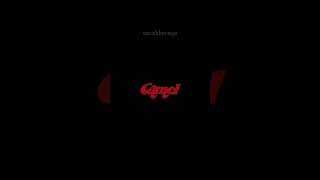 Camel By Camel Andy Biersack