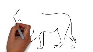 how to draw a lion easy step by step how to draw lion cartoon