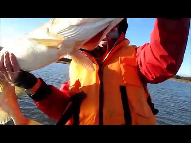 Видео о рыбалке №987