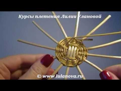 Лилия уланова плетение лозы Лилия уланова плетение лозы