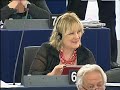 European Parliament