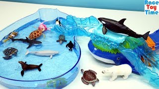 Ocean Whale Island Adventure Playset Ania plus Fun Sea Animals Toys For Kids