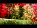 Autumn! - Autumn & Fall ecards - Seasons Greeting Cards Autumn! - Autumn & Fall ecards - Seasons Greeting Cards