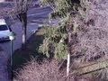Video erótico de pareja pillada, haciendo el....... en Sabiñanigo.