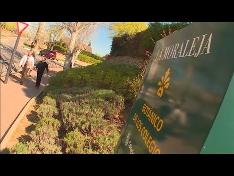La Moraleja, el barrio más caro de Alcobendas