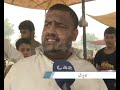 China Scheme Cattle Mandi Animal Traders Issues Pkg By Amir images China Scheme Cattle Mandi Animal Traders Issues Pkg By Amir