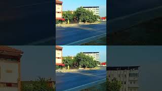 Anlık Videolar