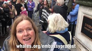 WDC at the anti-whaling march in London 26.01.2019 | Whale and Dolphin Conservation