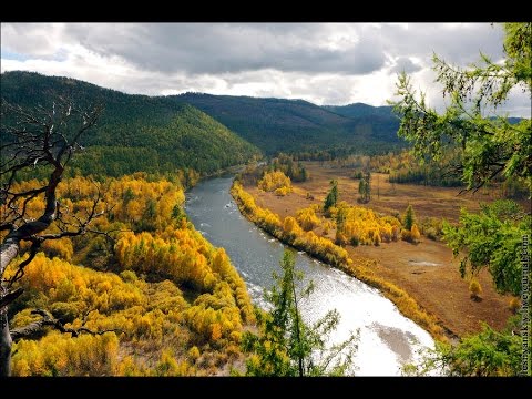рыбалка на реке чикой забайкальского края рыбалка на реке чикой забайкальского края