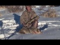 Coyote gets the 12 gauge!