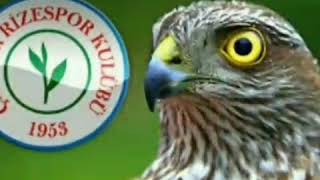 Çaykur Rizespor