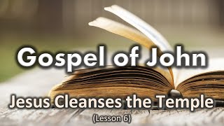 Temple Cleaning (John 2:13-22) | Gospel of John Lesson 6