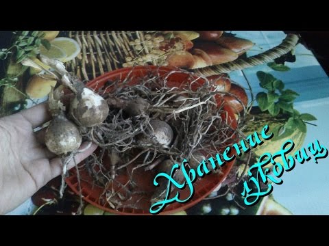 Розовый кардиган жгутами. Как вязать Правила технической эксплуатации тепловых
