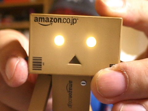 Amazon Matryoshka doll !? - Revoltech DANBOARD (Cardbo)