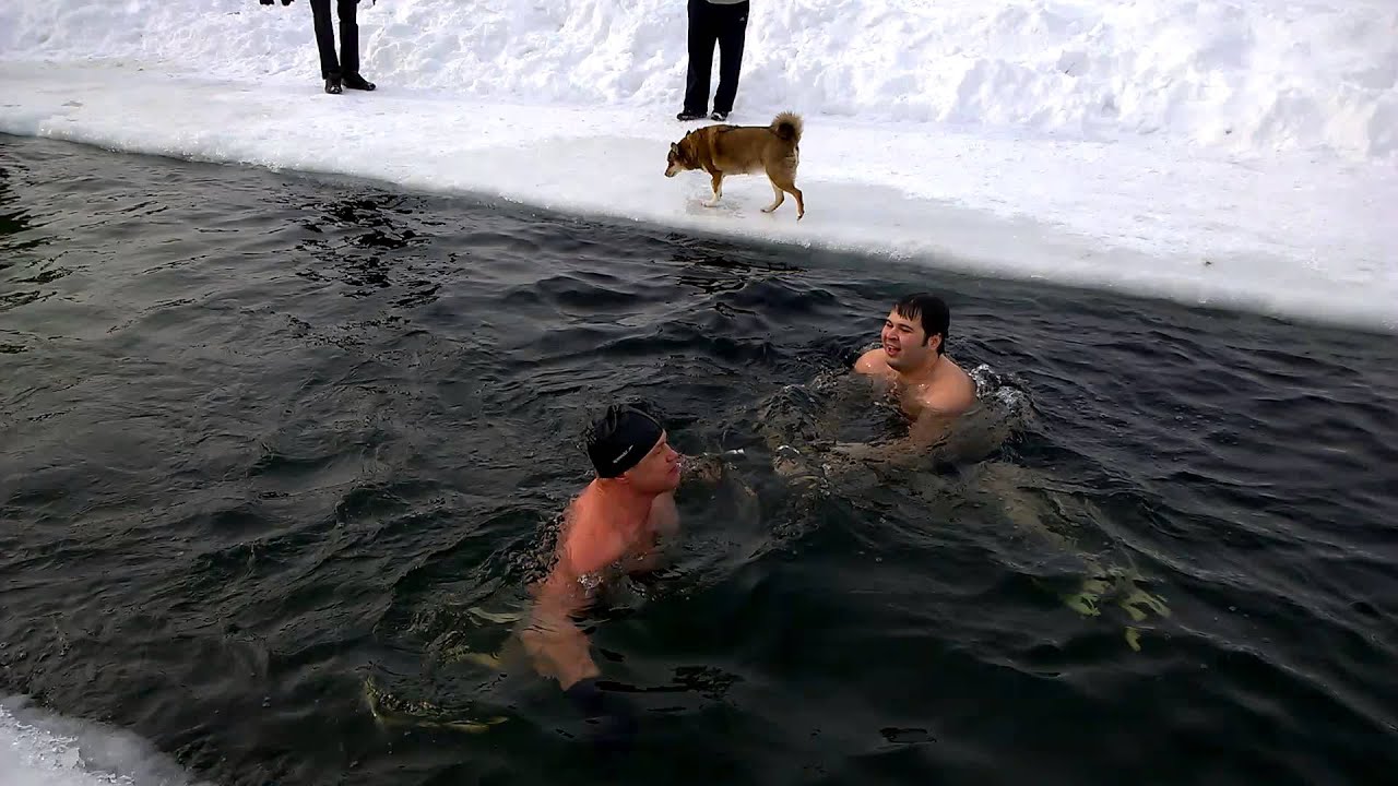 Купание Моржей Нудистов