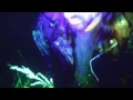 Crystal Castles/ AFFECTION /official   video/