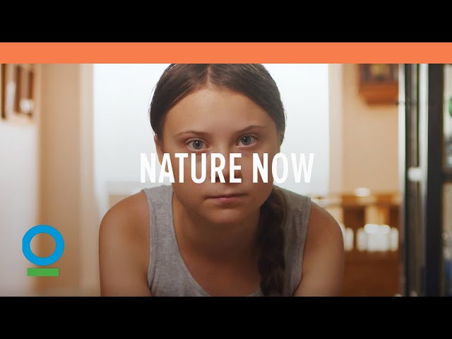 Watch Nature Now on YouTube.