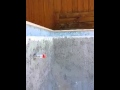 Ozgroup Tiling - Swimming Pool Tiling Job