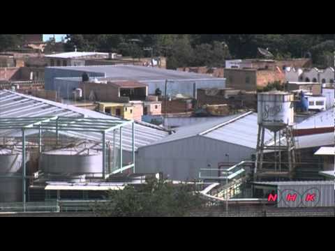 Agave Landscape and Ancient Industrial Facilities of … (UNESCO/NHK)