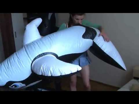 Girl humping inflatable whale