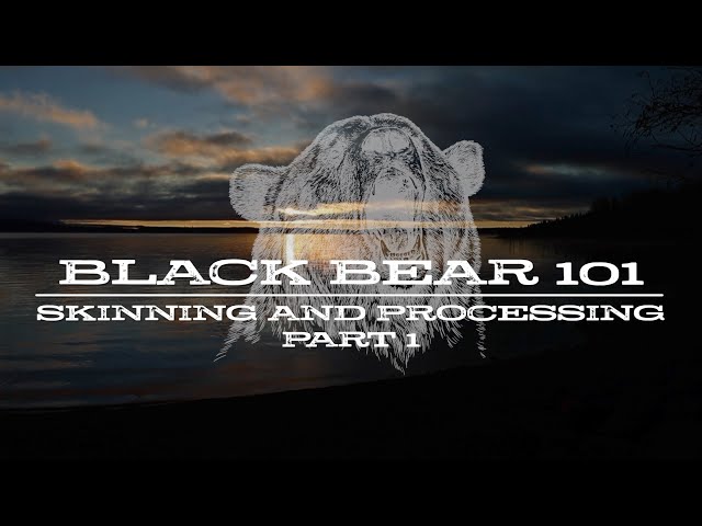 Watch Black Bear 101 | Skinning and Processing | Part 1 on YouTube.