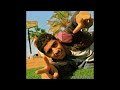 جديد بدر الشعيبي اوهو 2014