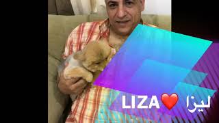 WITH SECOND BEST DOG (LIZA)❤️