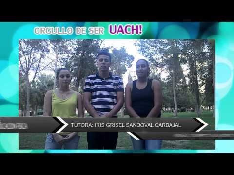 UACh PERAJ 2012 2013 Yamileth Gomez Lem