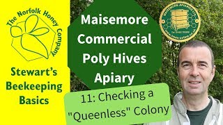 How to Test for a Queen in a Honeybee Colony
