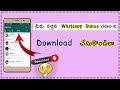 How to download whatsapp status video in telugu | Tech chandra