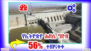 የኢትዮጵያ ሕዳሴ ግድብ ሃምሳ ስድስት ከመቶ (56%)ተጠናቀቀ - Grand Ethiopian Renaissance Dam Progress - VOA