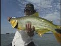 Video de Video de pesca - ayrton pesca - programa de pesca - dourado - acesse www.videospesca.com.br