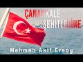 Çanakkale Şehitlerine / Çanakkale Şiiri / Mehmet Akif Ersoy / Dursun Kızılkaya