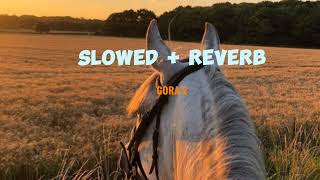 Dab Vich Goda Rakh Da Gora 2 Slowed & Reverb New Viral Song