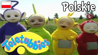 Teletubisie Po Polsku - 112 Dobra Jakość Pełny Odcinek