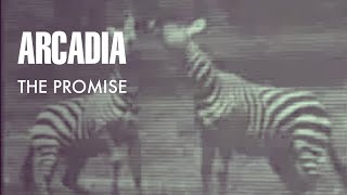Watch Arcadia The Promise video