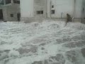 jasiiradda Socotra u qurux badan ayaa waxaa u adag dhacay roobabkii duufaanta Chapala