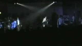Watch Babyshambles My Darling Clementine video