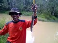 Mancing Gabus 3 images Mancing Gabus 3